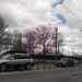 Teren pentru dezvoltare proiect case-vile in Bucuresti